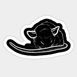 Baby Rat Sticker